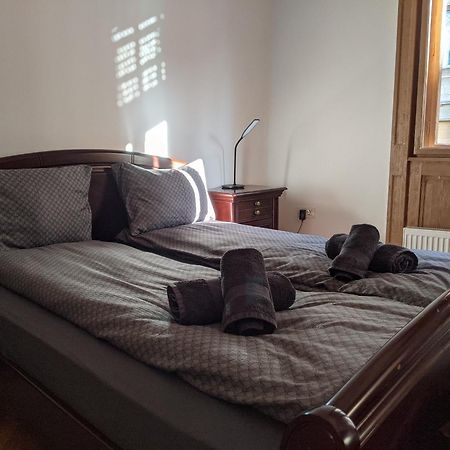 Ultra-Central Apartment In The Loffler Palace Тімішоара Екстер'єр фото