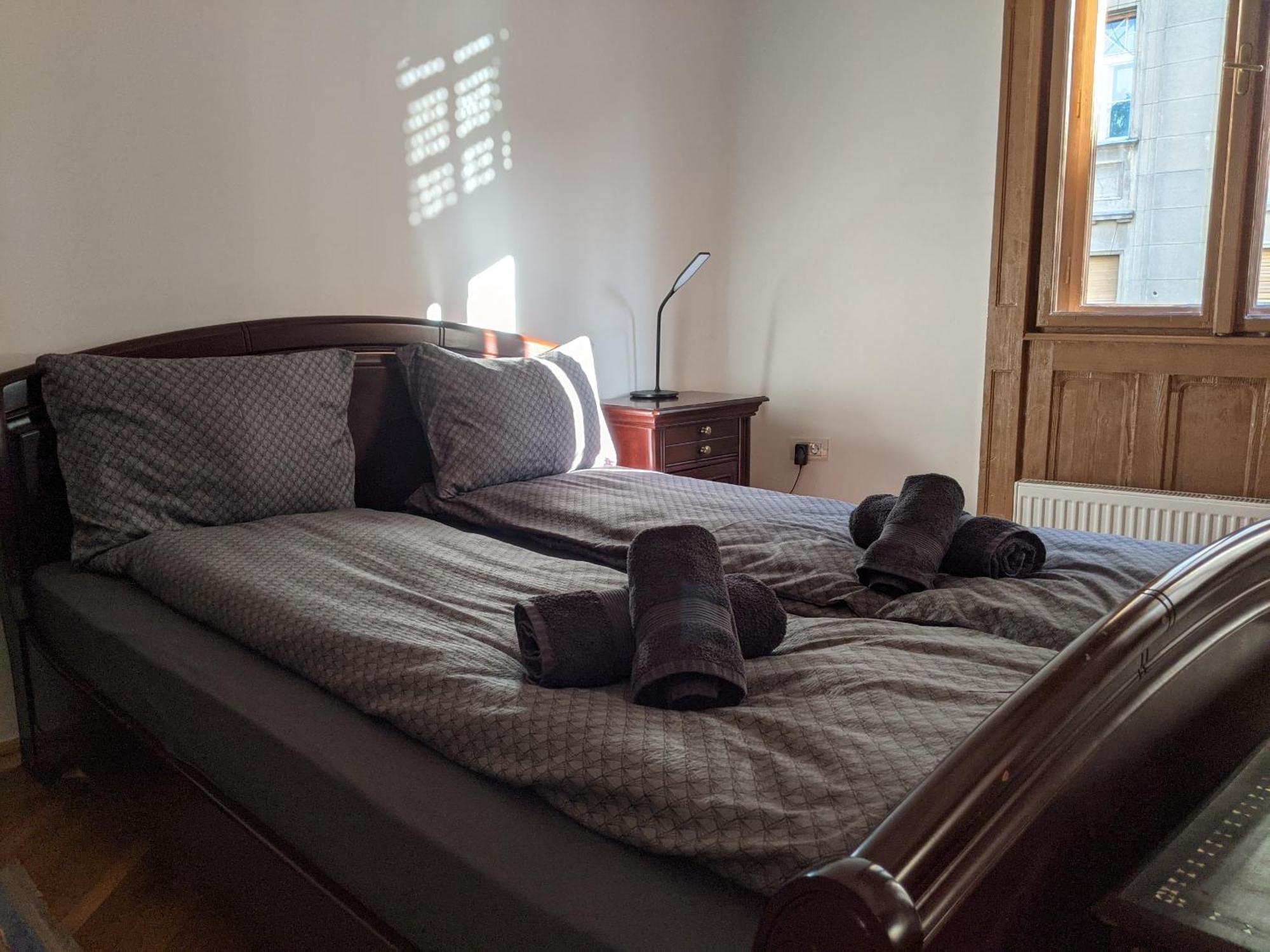 Ultra-Central Apartment In The Loffler Palace Тімішоара Екстер'єр фото