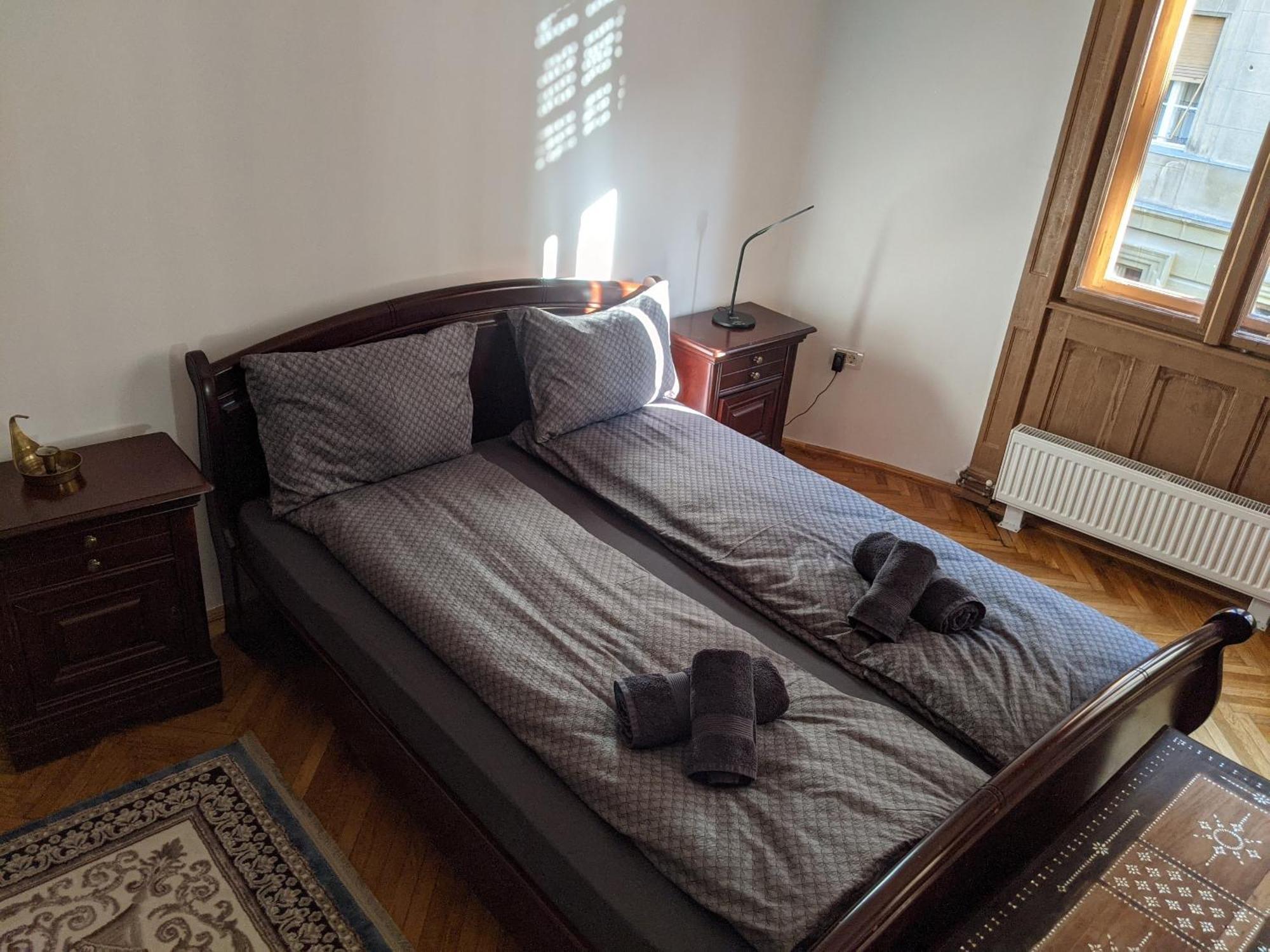 Ultra-Central Apartment In The Loffler Palace Тімішоара Екстер'єр фото